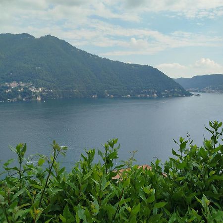 Little Garden House Villa Cernobbio Buitenkant foto